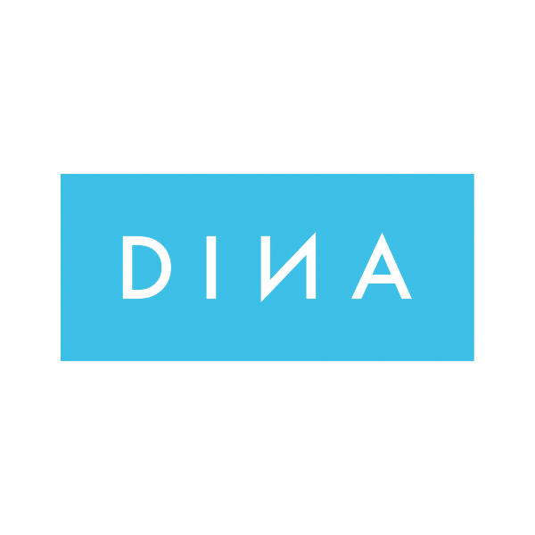 Dina Elektronik Vietnam