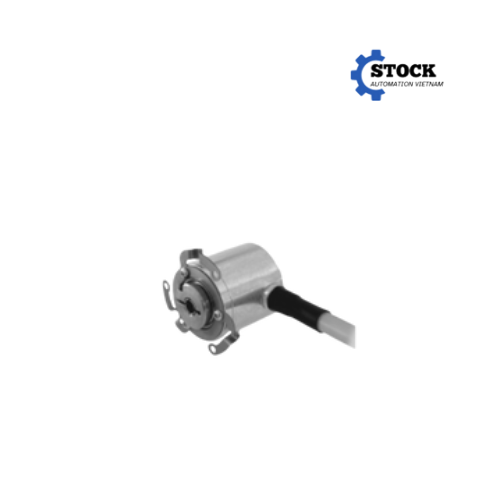 11062237 Baumer Vietnam