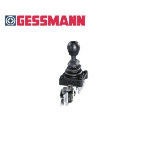 S1 GESSMANN