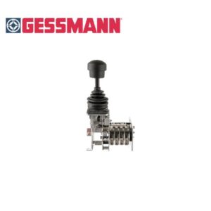 S21 GESSMANN